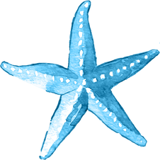 sea star blue