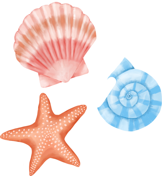 Sea Shells and Star