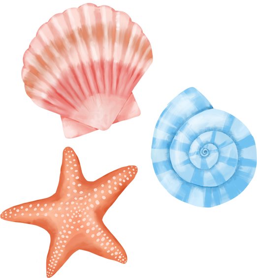 Sea Shells and Star